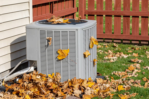 Best HVAC companies near me  in Rockford, MN